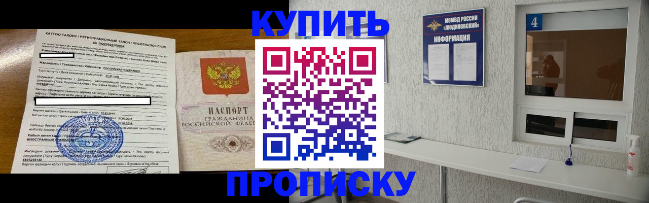 временная регистрация поиск в Королёве